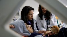 Con perros y juegos, hospital mexicano atiende a niños enfermos terminales