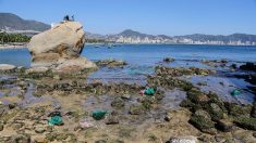 El mar se contrae y desnuda las playas para alarma de los turistas en Acapulco