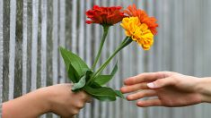 Hermanos reparten cientos de flores a viudas de militares en San Valentín y la respuesta es increíble