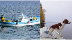 Pescador ve a su amado perro irse por la borda, cuando le regresan su bote, rompe en llanto