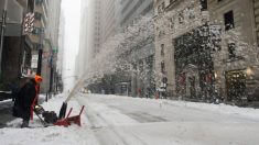 Esta abuela de 82 años sale con su máquina quita nieve y se convierte en la nueva reina del invierno