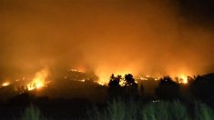 139 incendios forestales, 2 fallecidos y 32 viviendas destruidas en lo que va del año en Chile