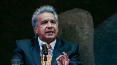 Tratan de impedir a «huevazos» denuncias de corrupción contra Lenín Moreno