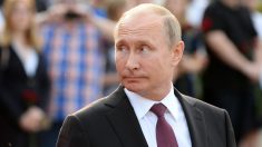 Opositores rusos exigen a Putin una reforma constitucional «plena»