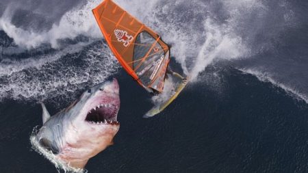 A centímetros de ser devorado: fotógrafo captura imágenes de un gran tiburón blanco
