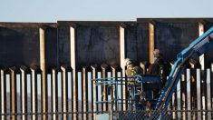 Los estadounidenses prefieren un muro fronterizo antes que el Nuevo Acuerdo Verde, revela encuesta