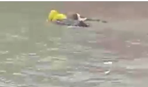Mascota rescata a su dueño cuando el hombre se lanza al agua y es llevado por la corriente. (Captura de vídeo)
