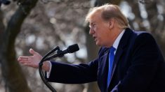 Trump declara emergencia nacional y obtendrá hasta USD 8000 millones para el muro