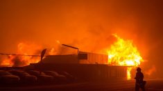 Eléctrica admite ser causa «probable» de incendio más mortífero de California