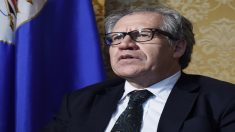 Almagro responde a Rusia y dice que la OEA tiene competencia sobre Venezuela