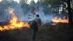 Desalojados 2.000 habitantes por incendio forestal en el oriente de México