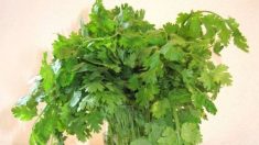 Anciano salvadoreño conmueve al sacar tres paquetes de cilantro para pagar un acta de nacimiento