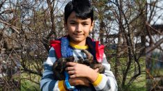 Niño sin hogar que solo tiene el amor y contención de un perrito callejero logra volver a la escuela