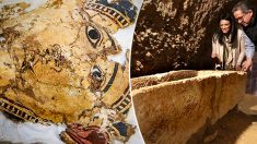 Arqueólogos descubren una nueva tumba egipcia con 50 momias y artefactos que revelan su pasado