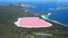 Todos quieren saber por qué este lago tiene un impresionante color rosa chicle. Aquí te lo explicamos