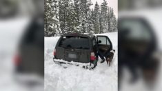 Hombre sobrevive atrapado en la nieve 5 días comiendo solo salsa de tacos picante