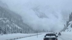 Conductor captura instante en que avalancha de nieve cae sobre su carretera