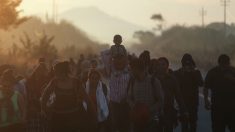 Nueva caravana de inmigrantes con 700 cubanos se dirige a Estados Unidos