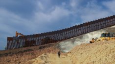 CEO ofrece construir 370 km del muro fronterizo un 80% más barato que el costo proyectado