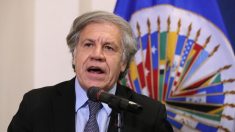 La OEA aprueba una resolución para pedir la entrada de ayuda en Venezuela