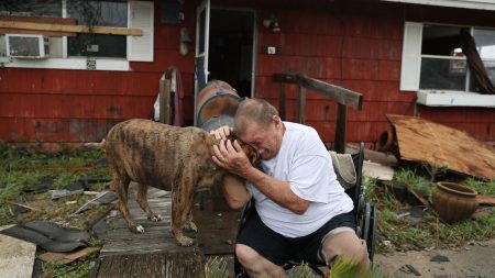 Proyecto de ley en Florida haría ilegal dejar a perros atados o abandonados durante huracanes