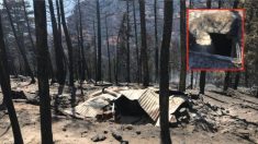 Incendio forestal revela red búnkeres y cabañas totalmente equipadas para el día del fin del mundo