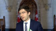 Comité Parlamentario de Canadá vota a favor del proyecto de ley contra el tráfico de órganos