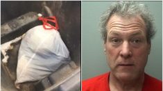 Policía arresta a un hombre después de encontrar una bolsa llena de cachorros en la basura