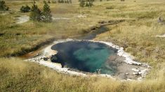 Hallan bacterias en pozos termales de Yellowstone que «comen» contaminación y producen electricidad