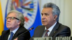 Presidente Moreno explica por qué la OEA no comete «injerencia» cuando actúa con Venezuela y Nicaragua