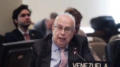OEA exige la «inmediata libertad» del vicepresidente de la Asamblea Nacional de Venezuela