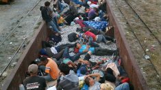 Tráfico de personas de México a EE.UU.: un negocio negro de 6000 millones de dólares anuales