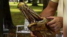 Tres hombres logran capturar un extraño pez prehistórico en un lago de Oklahoma