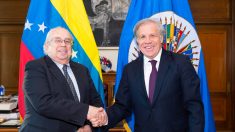 Almagro recibe al nuevo embajador de Venezuela: «Ya no tenemos una dictadura sentada en la OEA»