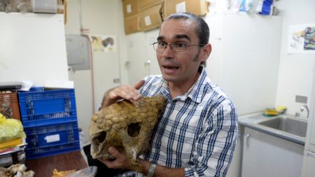 Paleontólogo venezolano sigue trabajando en su país a pesar de todo: «Mi trinchera es la ciencia»