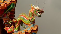 ¡Asombroso descubrimiento! Hallan en China enorme esqueleto de un supuesto dragón