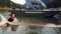Adolescente pesca un esturión legendario de 295 kg, lo devuelve y es aclamado como héroe local