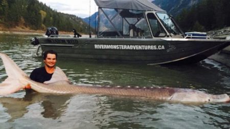 Adolescente pesca un esturión legendario de 295 kg, lo devuelve y es aclamado como héroe local