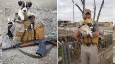 Soldado se reúne con la perrita que rescató de una pila de escombros en plena guerra en Siria