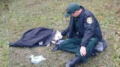 La imagen de un policía consolando a un perro herido luego de un accidente se vuelve viral
