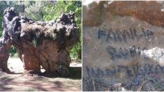 México: vandalizan la “Piedra del Elefante” que lleva miles de años intacta en Tamaulipas