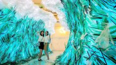 Escultura hecha con 168.000 pajillas plásticas deja una fuerte impresión sobre la basura en el mar