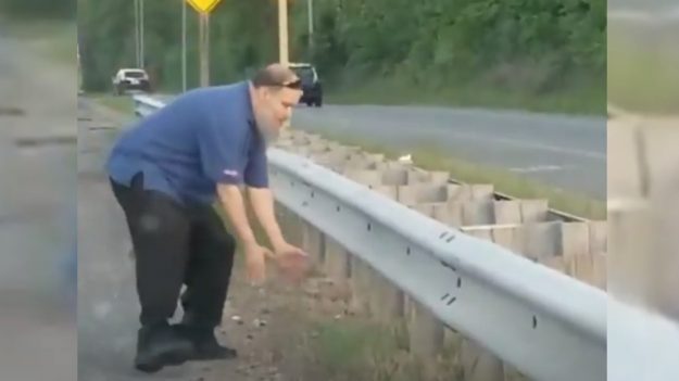 Conductores dejan todo y bajan de sus autos para que familia de patitos pueda cruzar una autopista