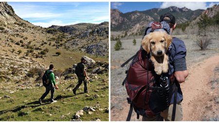 Rescatistas emprenden una dura caminata de 12 horas para salvar a un perrito herido por una trampa