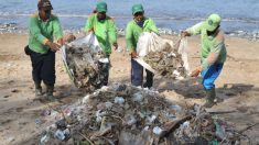 Personas sin hogar reciben un pago por recoger basura en un nuevo programa de 6 meses de prueba