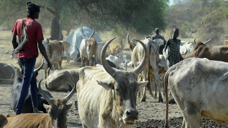 Una mujer es golpeada hasta la muerte por la familia por negarse a casarse por 40 vacas