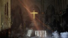 Descubren intactos tras el voraz incendio la cruz y el altar de la catedral de Notre Dame