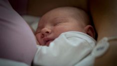 El pecho es lo mejor: Beneficios de la leche materna para los bebés incluyen anticuerpos personalizados