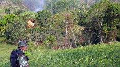 Sendero Luminoso mantiene campamentos de esclavos en la Amazonía de Perú