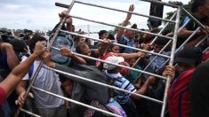Cientos de migrantes entran ilegalmente a México rompiendo candados y rejas en la frontera